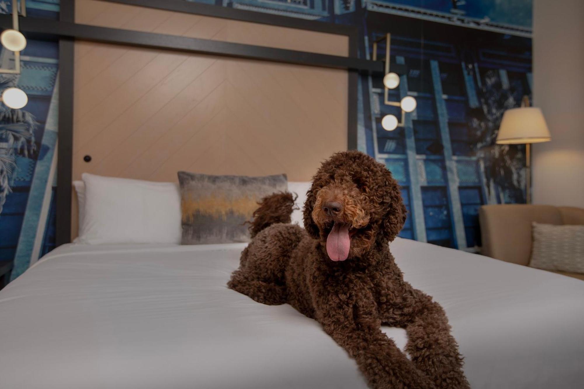 Hotel Indigo Jacksonville-Deerwood Park By Ihg Exteriér fotografie